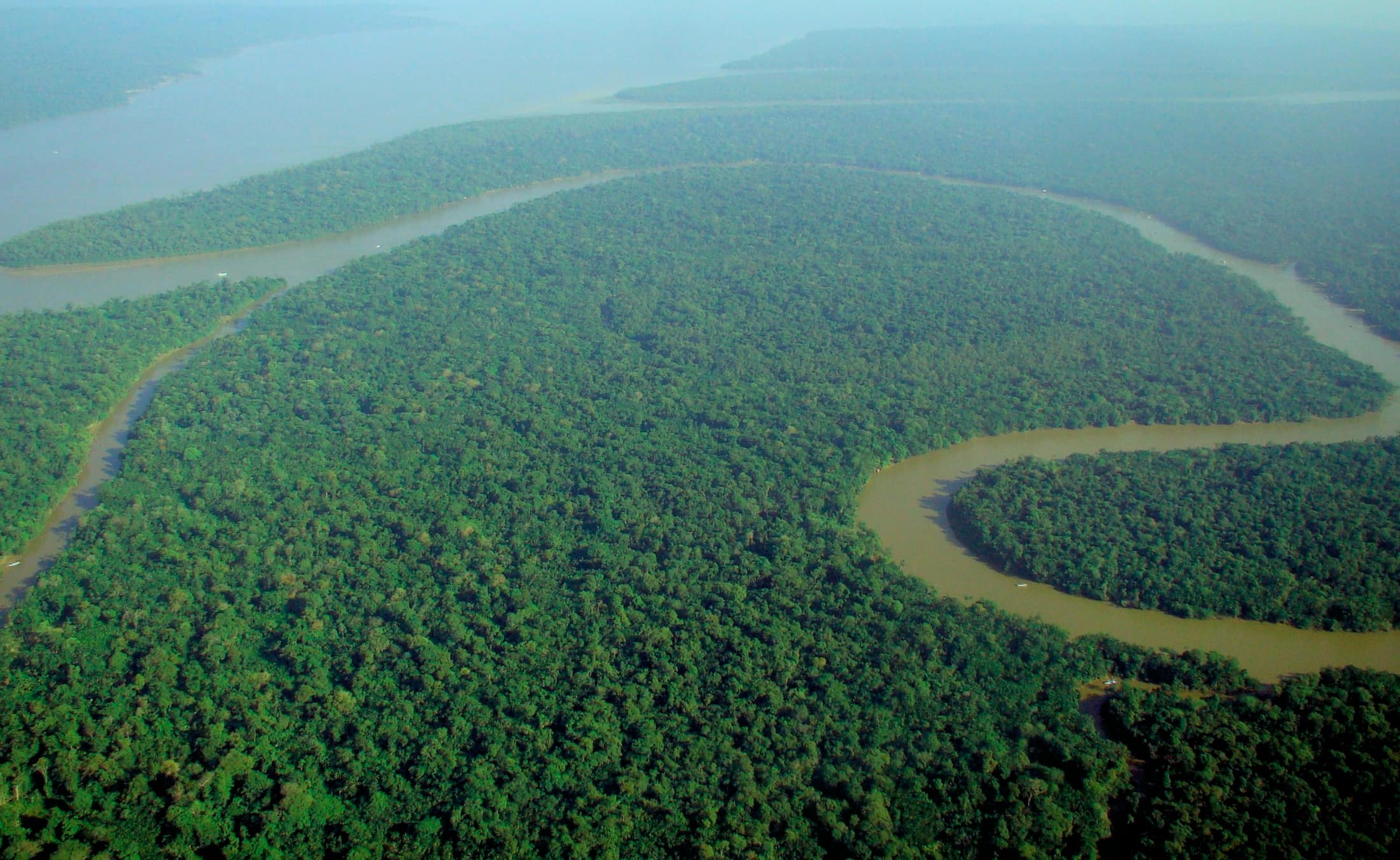 Unbroken canopy running to the horizon, cut by a single brown river.