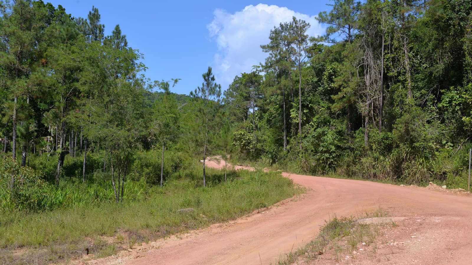 River and limestone country in the Cayo District.