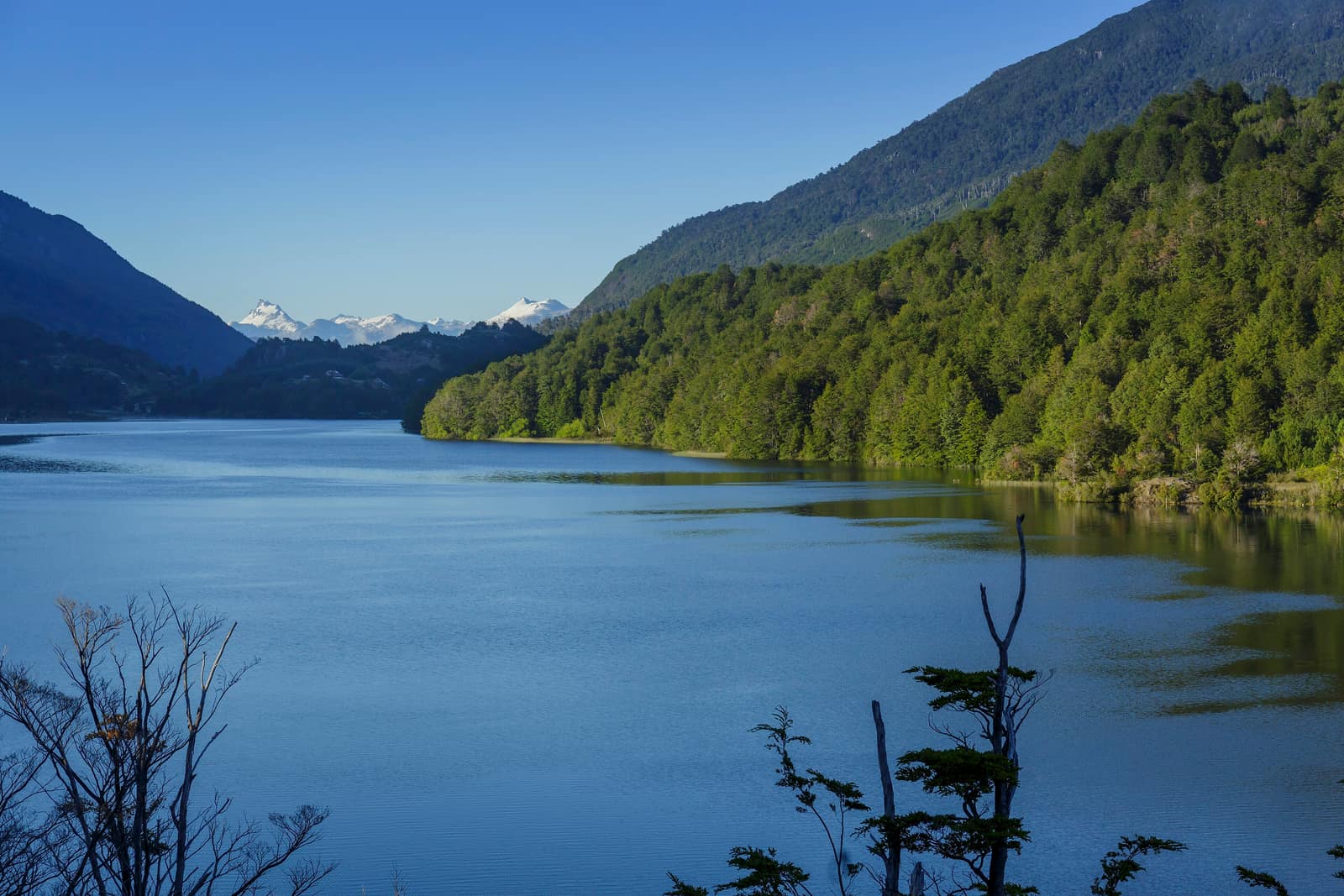 Fjord water and rainforest ridges at Puyuhuapi on the Carretera Austral.