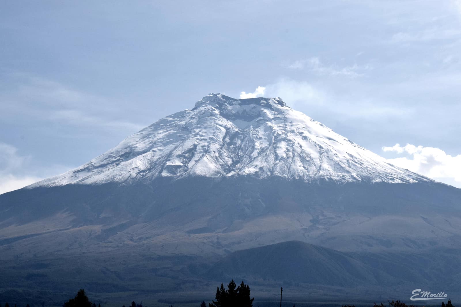 Cotopaxi's snow cone standing clear above the páramo.