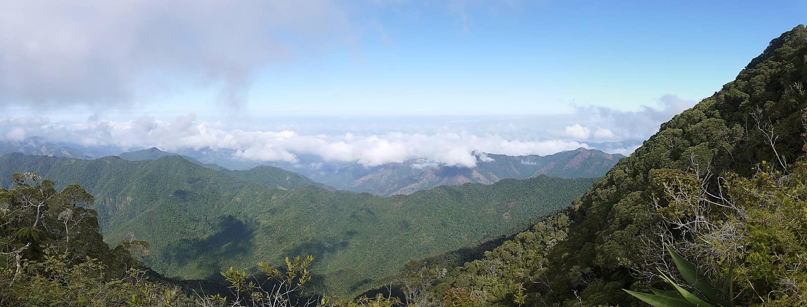 Forested ridgelines of the Sierra Maestra running to the coast.