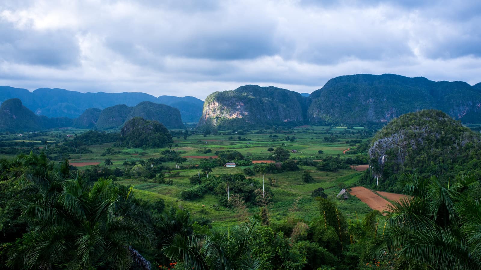 Limestone mogotes standing out of the tobacco floor at Viñales.