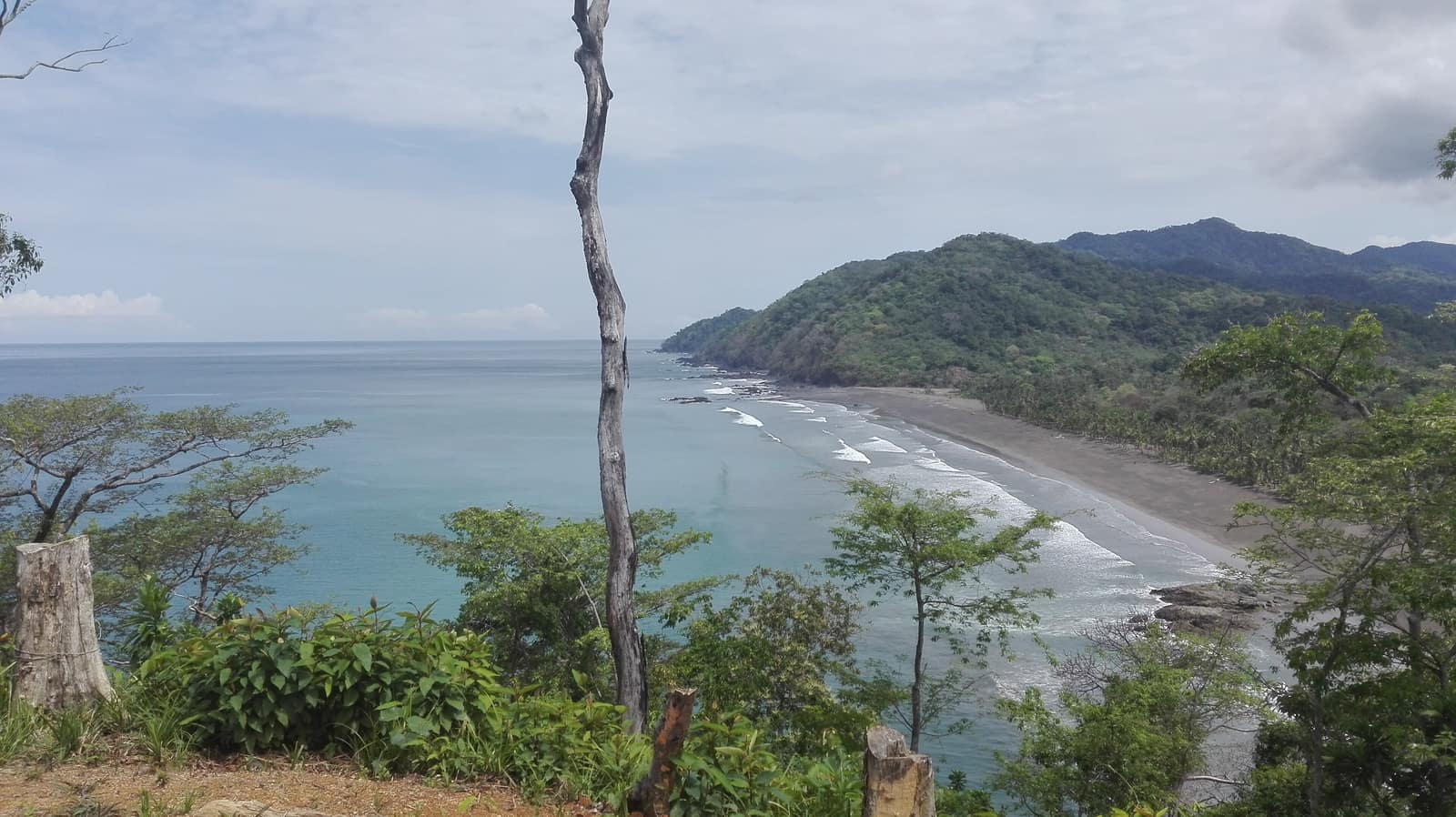 Forest running down to an empty bay on the Darién coast.
