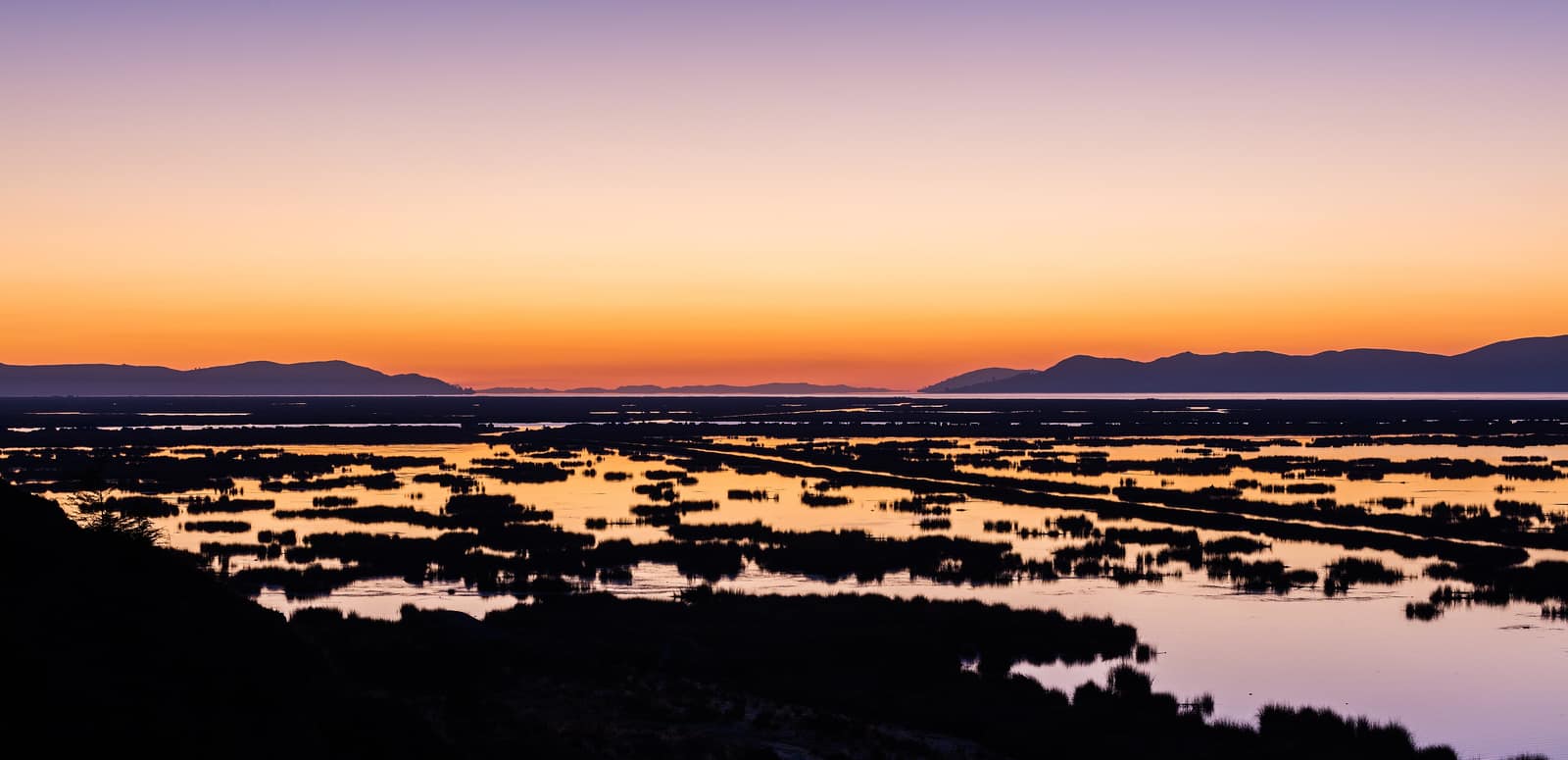 Dawn on Lake Titicaca, reed beds dark against the water.