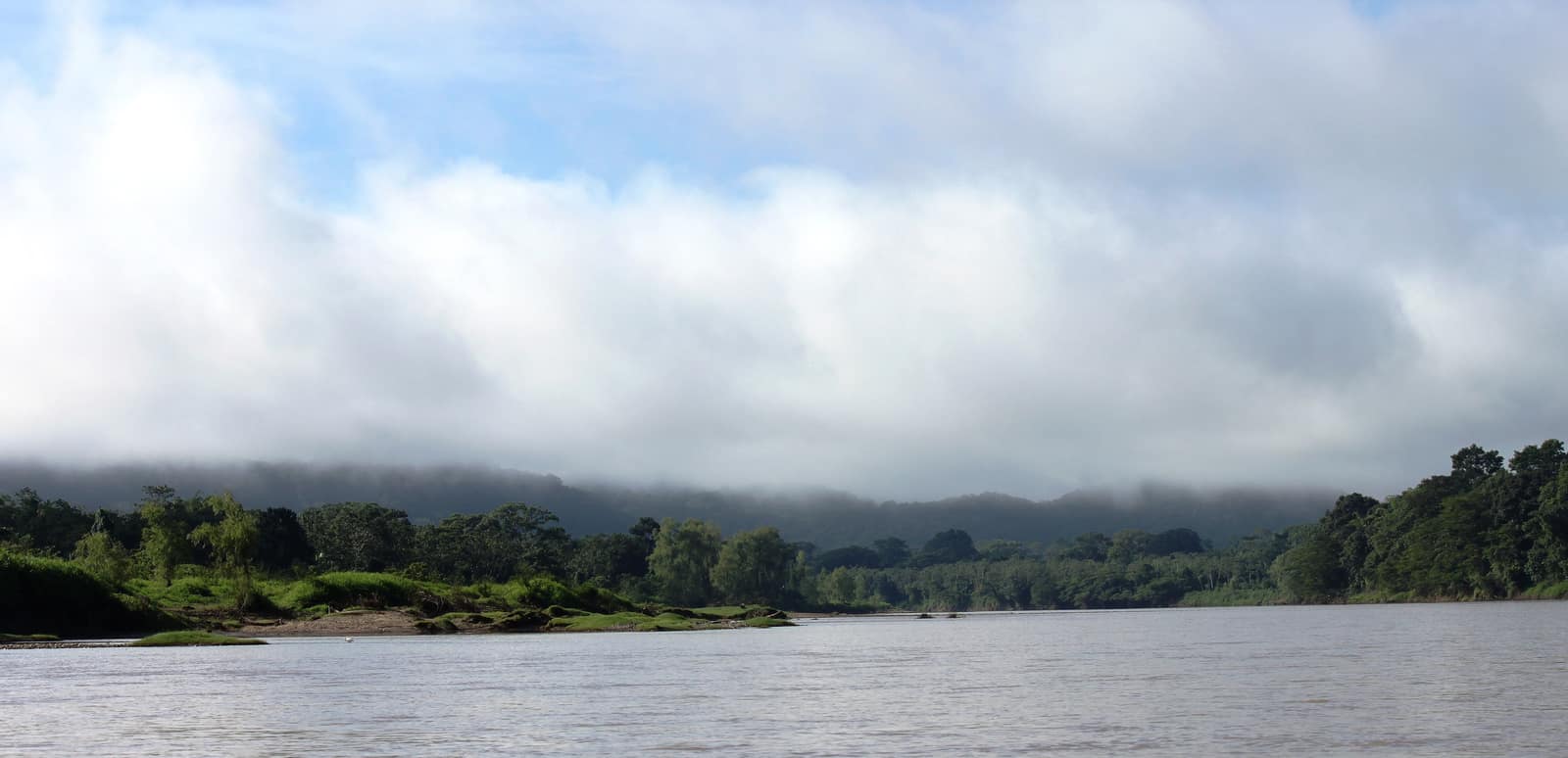 The Patuca running between forest banks in La Mosquitia.