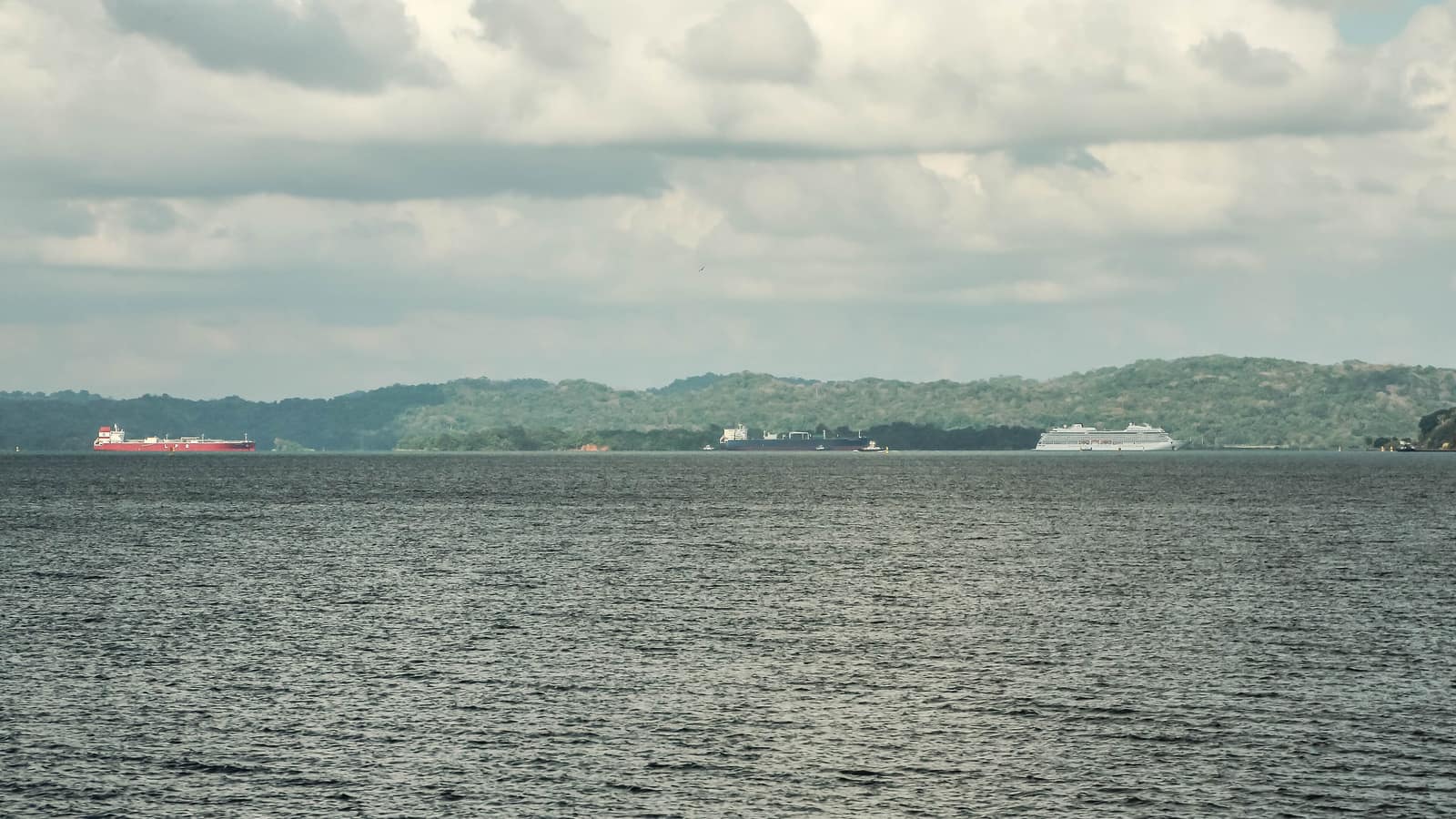 The Chagres running out through forest into the canal watershed.