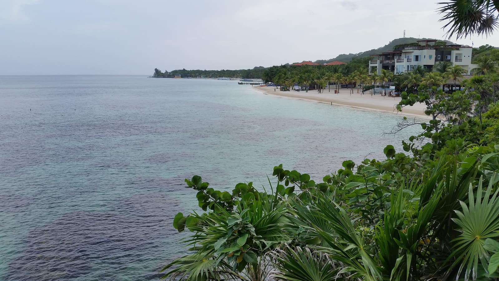 Reef edge and drop-off along the north shore of Roatán.