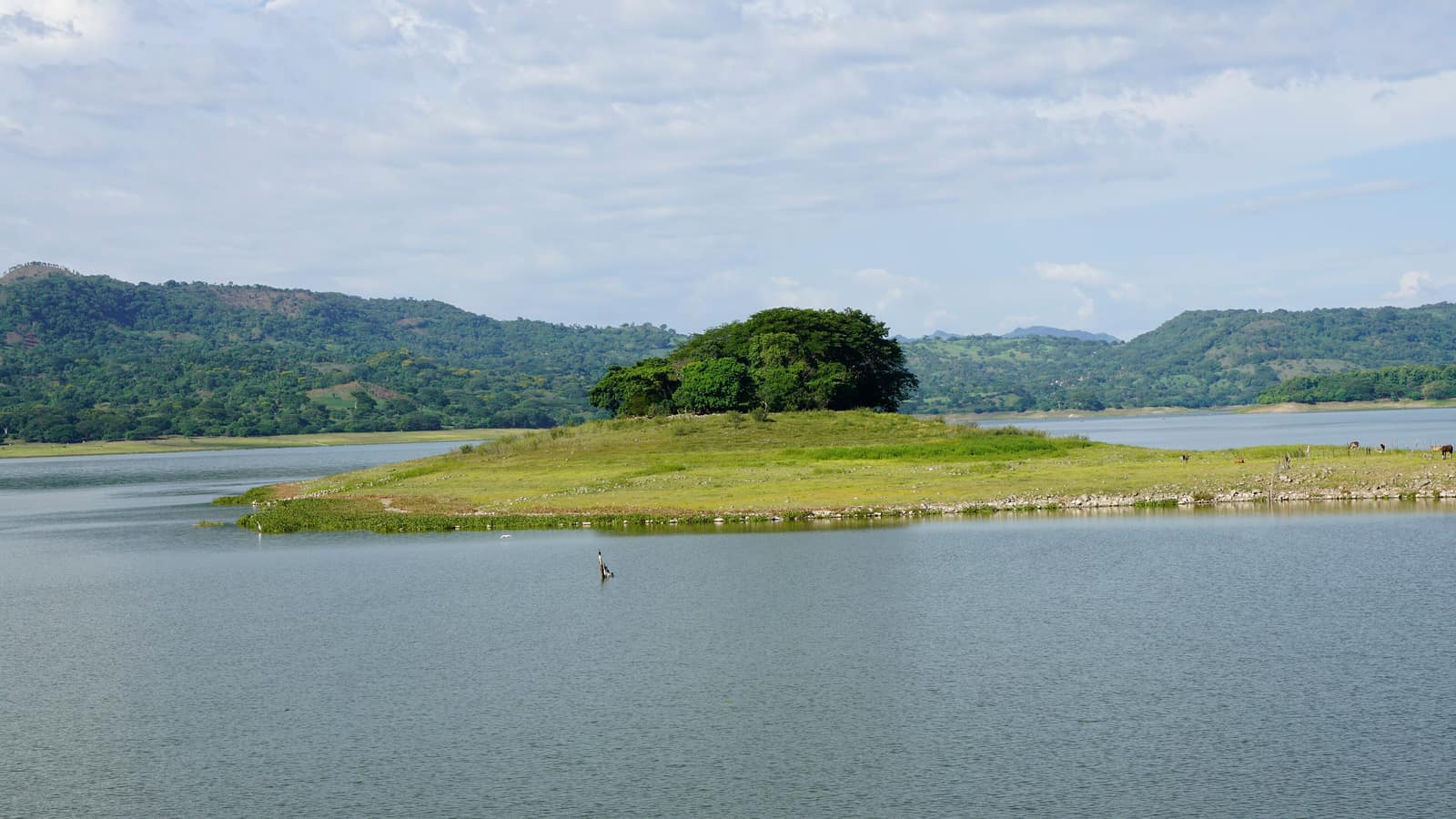 An island standing in the flat water of Lago Suchitlán.