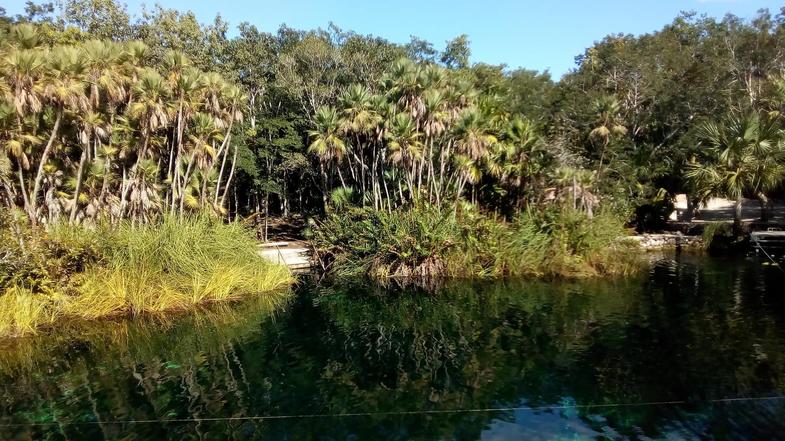 Clear freshwater in an open cenote ringed by limestone and forest.